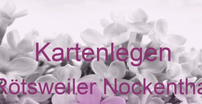Kartenlegen Rötsweiler Nockenthal | Top-Experten für Kartenlegen, Wahrsagen, Hellsehen, Zukunftsdeutung. Kartenlegen Rötsweiler Nockenthal | Top-Experten für Kartenlegen, Wahrsagen, Hellsehen, Zukunftsdeutung.
